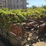 Relax * 부르가스
